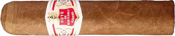 Hoyo De Monterrey Petit Robustos