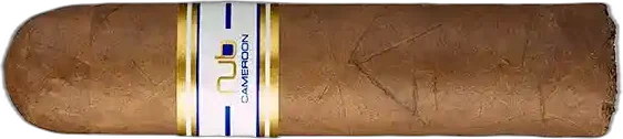 NUB Cameroon 460